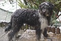 image_15_DSC00476